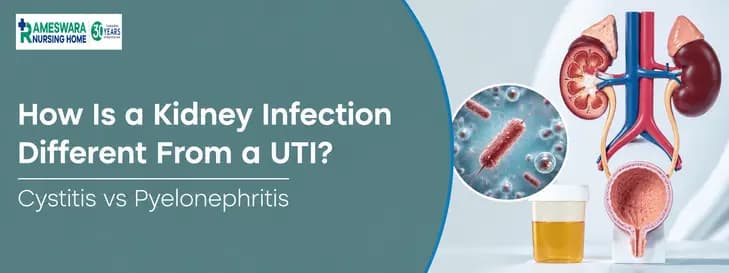 Cystitis vs Pyelonephritis1